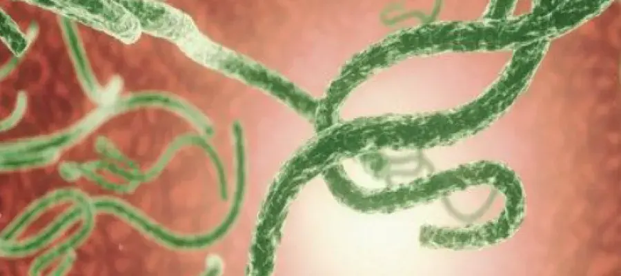 microorganisms 